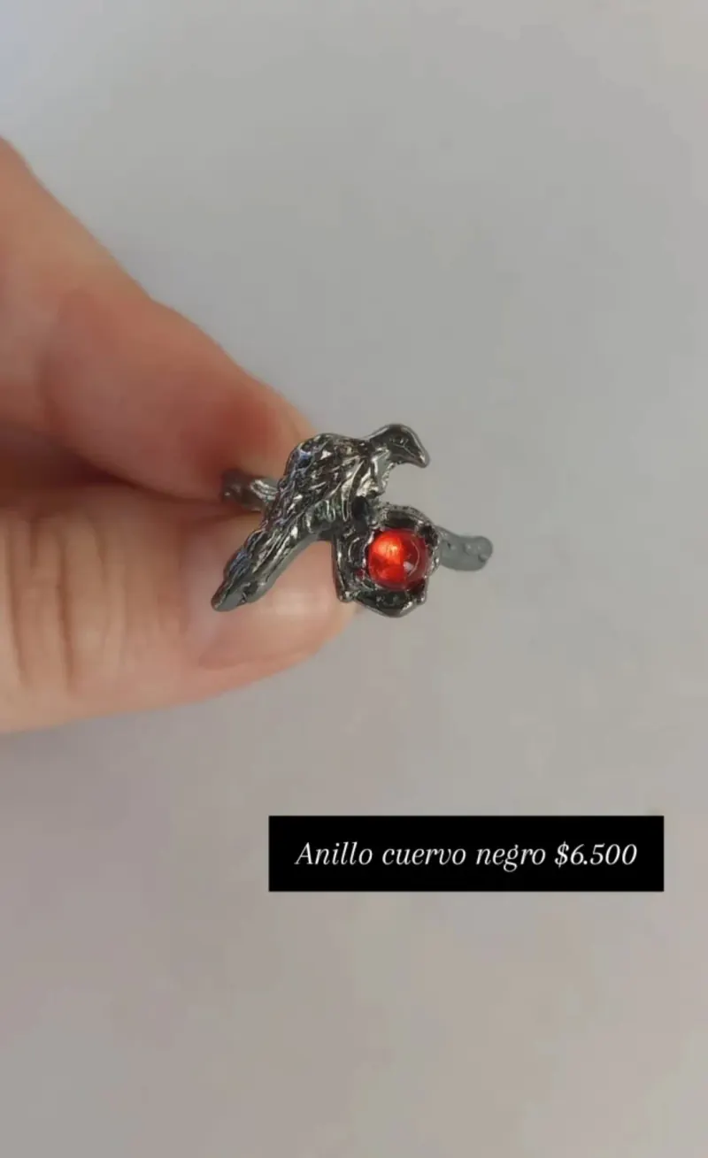 Anillo cuervo negro: cuervo en metal oscuro con una piedra roja.