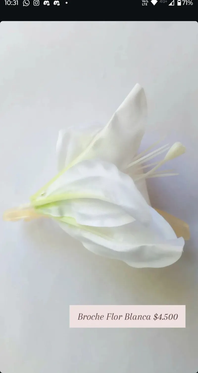 Broche Flor Blanca: pinza para el pelo con flor de tela blanca.